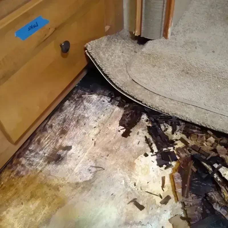 Wood Floor Water Damage in South Toms River, NJ